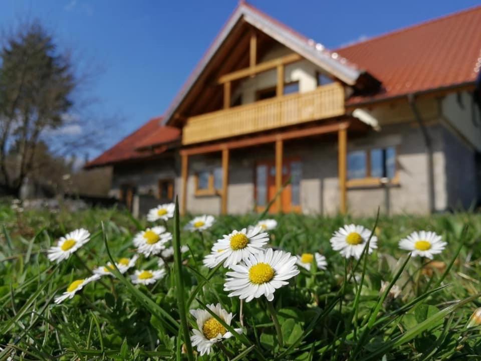 Wandertraum Johann - FeWo Eifel Kruft Exterior foto