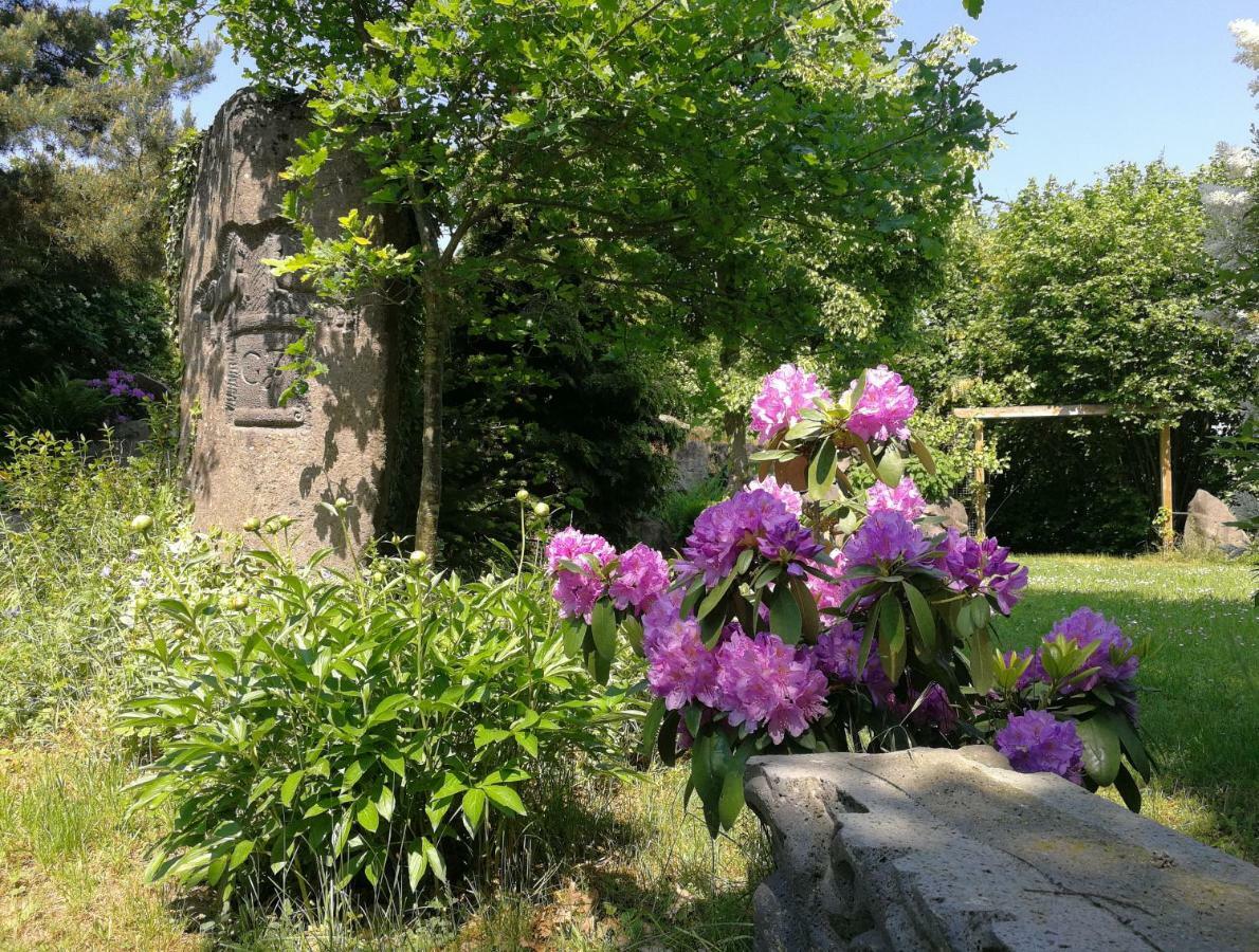 Wandertraum Johann - FeWo Eifel Kruft Exterior foto